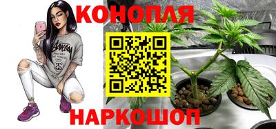 Альфа ПВП Гулькевичи