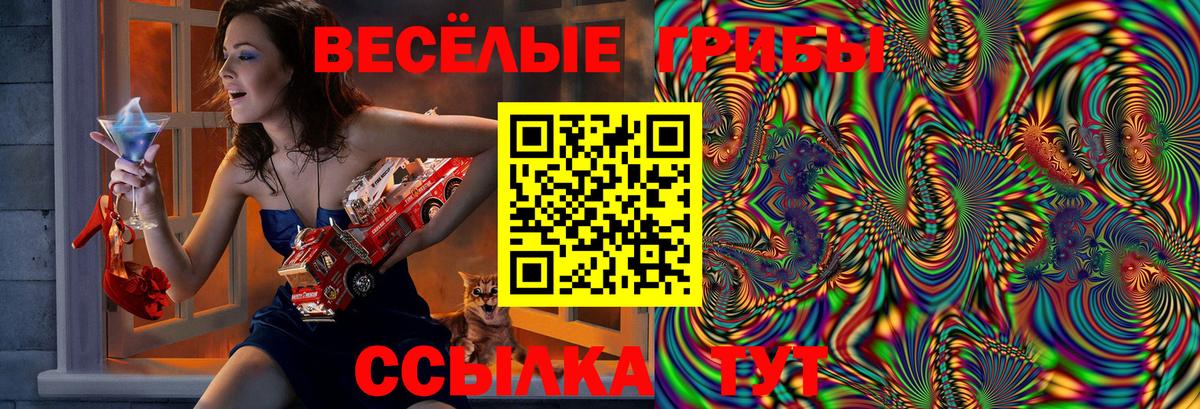 Иркутск  сколько стоит  Вход с VPN  Псилоцибиновые грибы мухоморы  Галлюциногенные грибы мухоморы 