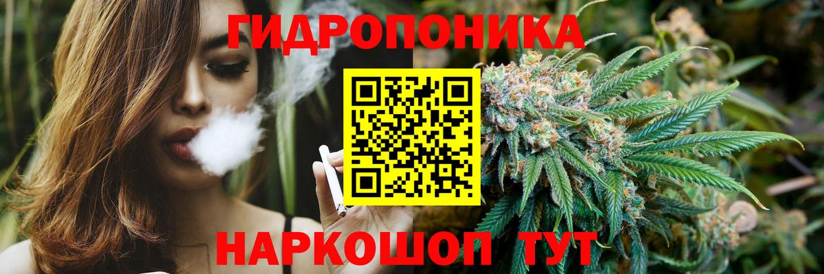 Шишки марихуана OG Kush Иркутск